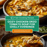 Chicken Orzo Tomato Soup Recipe