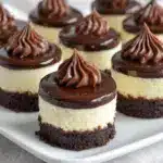 Mini Chocolate Cheesecake Bites Recipe