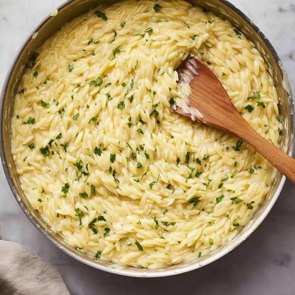 Garlic Parmesan Orzo Recipe