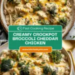 Creamy Broccoli Cheddar Chicken Delight Recipe