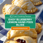 Blueberry Lemon Hand Pies Recipe