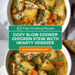 Slow Cooker Chicken Stew Recipe