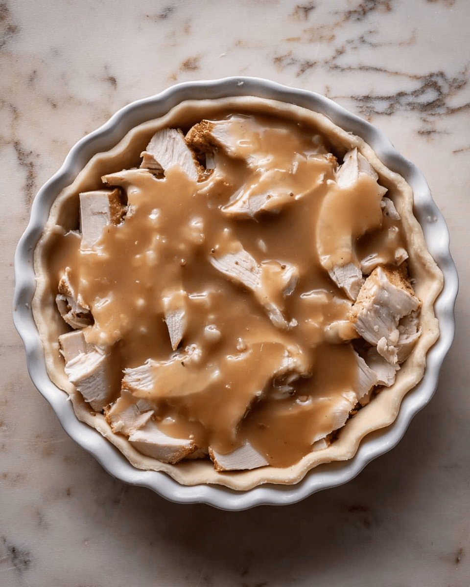 A round white pie dish with scalloped edges holds an unbaked pie. The bottom layer is light-colored raw pie crust lining the dish. On top, there are irregular slices of cooked turkey, pale with some browned edges, spread evenly. The top layer is smooth, glossy brown gravy poured over the turkey slices, covering most of them. The dish is set on a white marbled surface. photo taken with an iphone --ar 4:5 --v 7