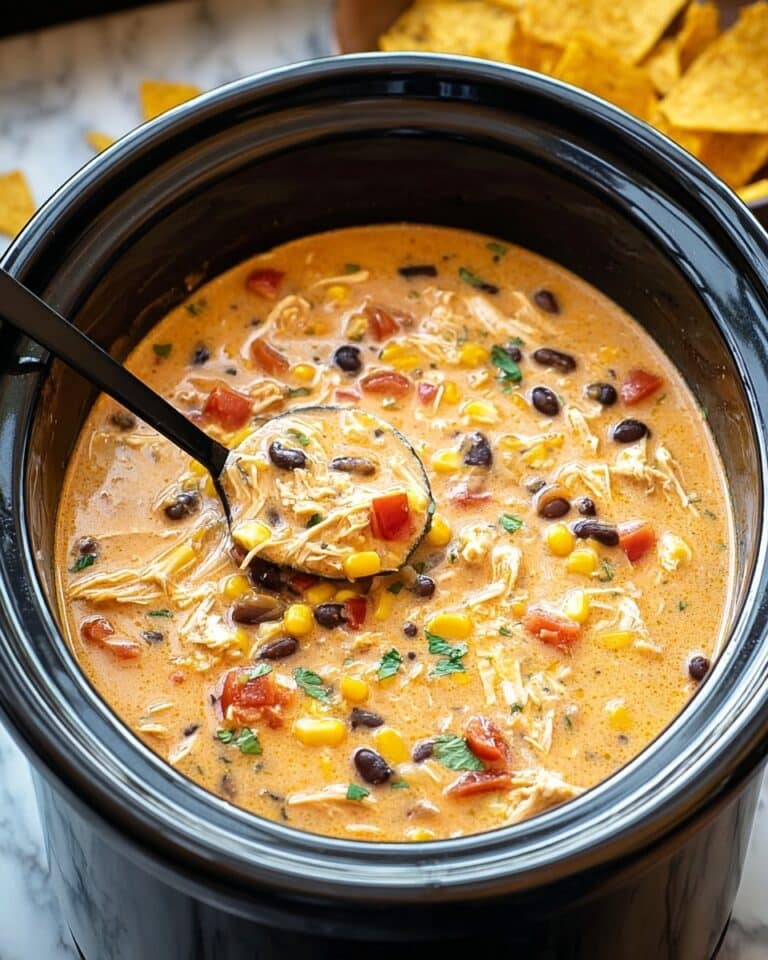 Crockpot Chicken Tortilla Soup Recipe