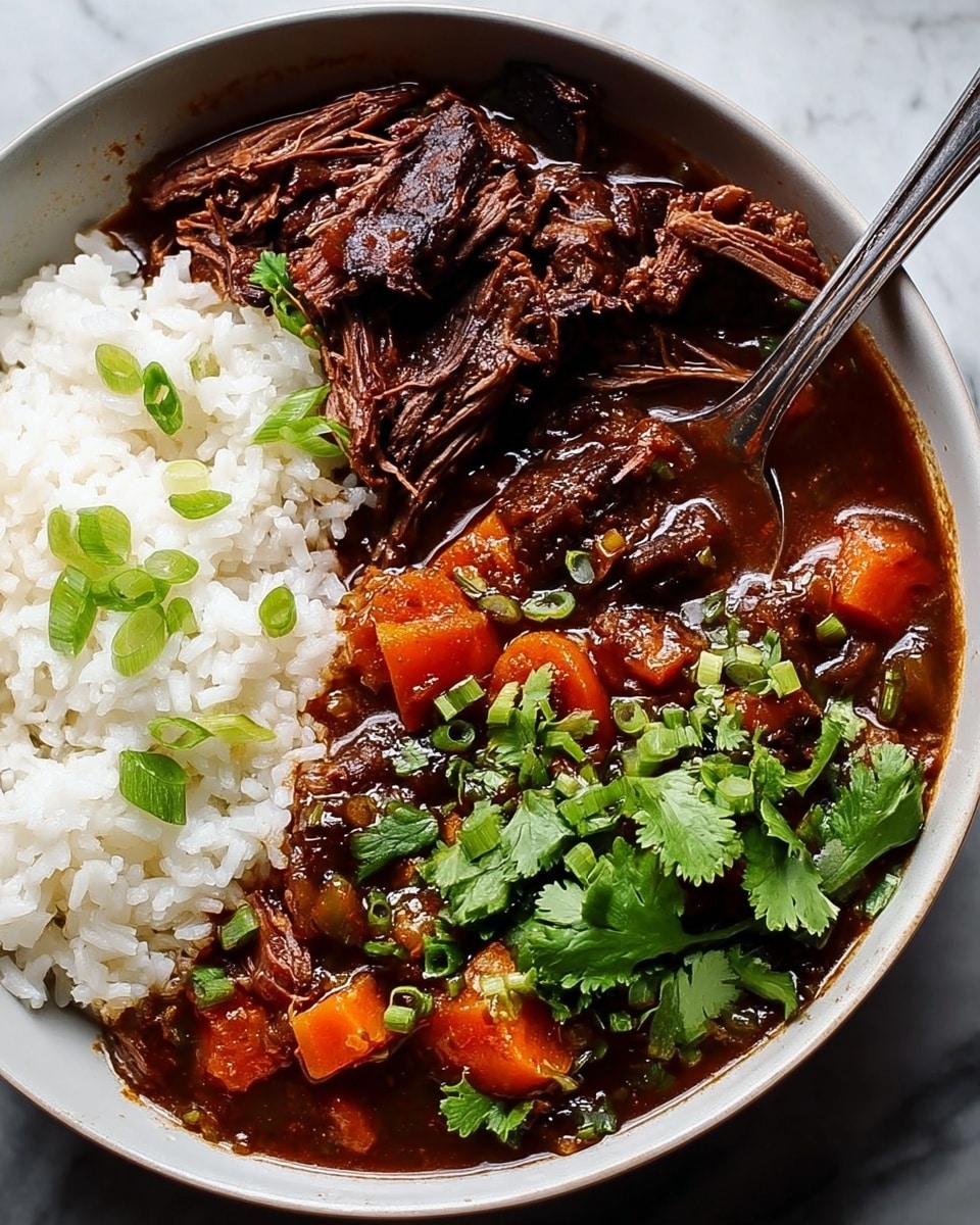 A white bowl filled with three main layers: on the left side is a bed of fluffy white rice topped with small green chopped scallions, the middle layer features dark, tender chunks of shredded beef with a shiny, slightly oily surface, and the right side holds a rich, thick stew with dark brown broth containing visible pieces of orange carrots, translucent onions, and green scallions, all crowned with fresh, bright green cilantro leaves. A silver spoon rests inside the stew on the right edge of the bowl, with a white marbled surface as the background. photo taken with an iphone --ar 4:5 --v 7