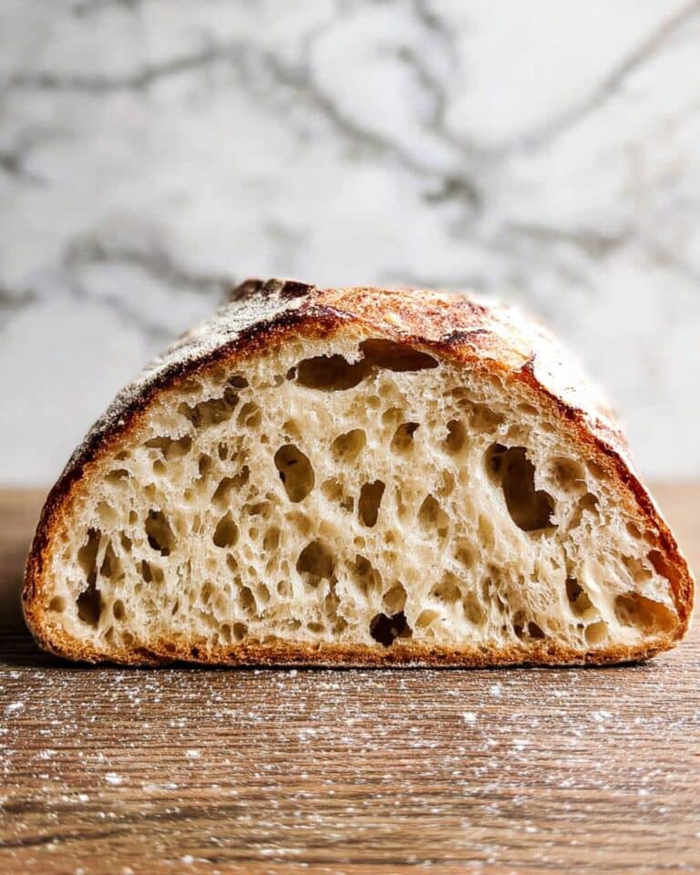 Easy Beginner Sourdough Starter Recipe