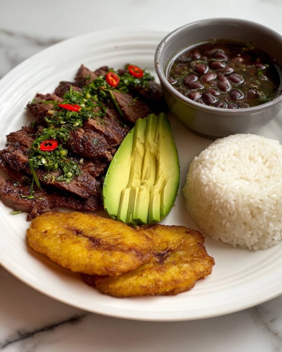 The dish is served on a white oval plate with a white marbled surface in the background. On the left side, there are eight slices of grilled steak arranged vertically, topped with a green sauce containing small pieces of red chili and onions. To the right of the steak, there is a half slice of fresh avocado with a smooth, light green texture. Next to the avocado is a round mound of white rice with a fluffy texture. At the top right corner of the plate, a small silver pot holds dark brown, glossy black beans with whole beans visible. Along the bottom edge of the plate, five golden, crispy, round plantain fritters are neatly lined up. Photo taken with an iphone --ar 4:5 --v 7
